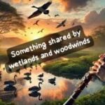 Something Shared by Wetlands and Woodwinds